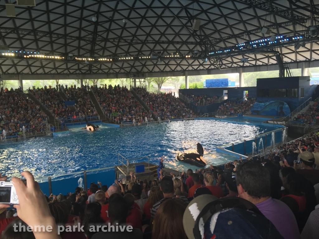 Shamu Theater at SeaWorld San Antonio