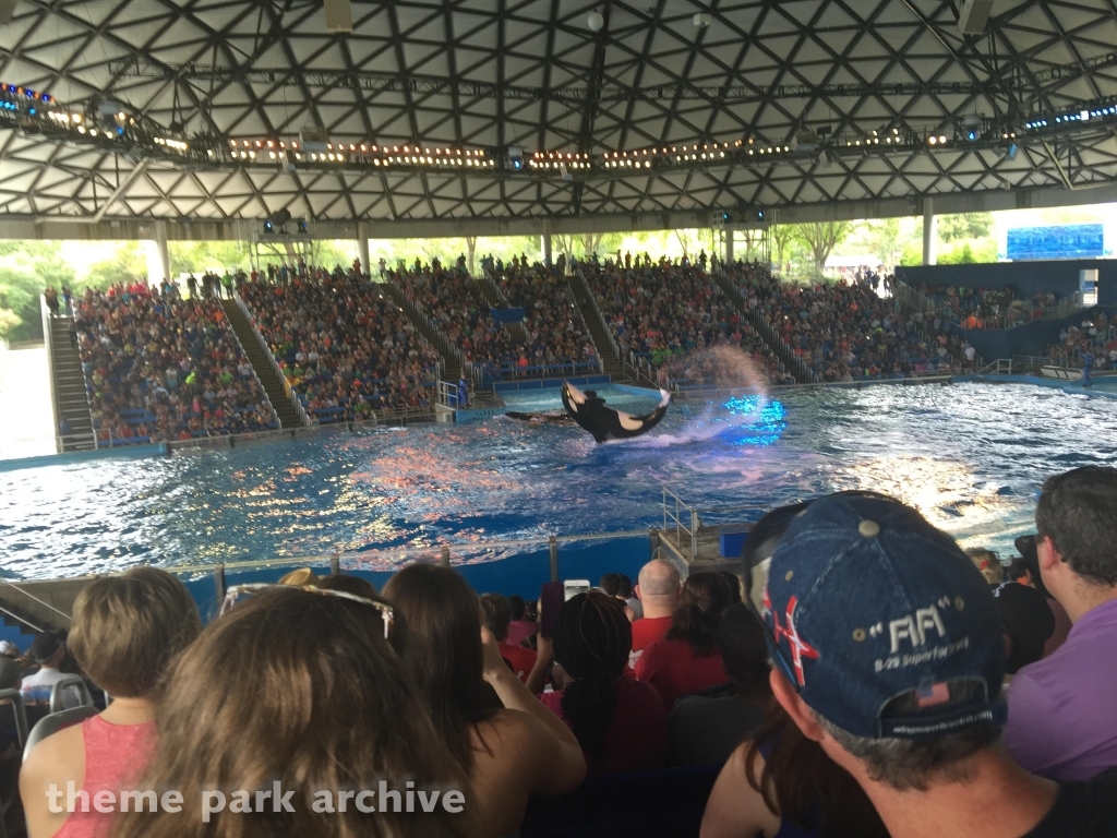 Shamu Theater at SeaWorld San Antonio
