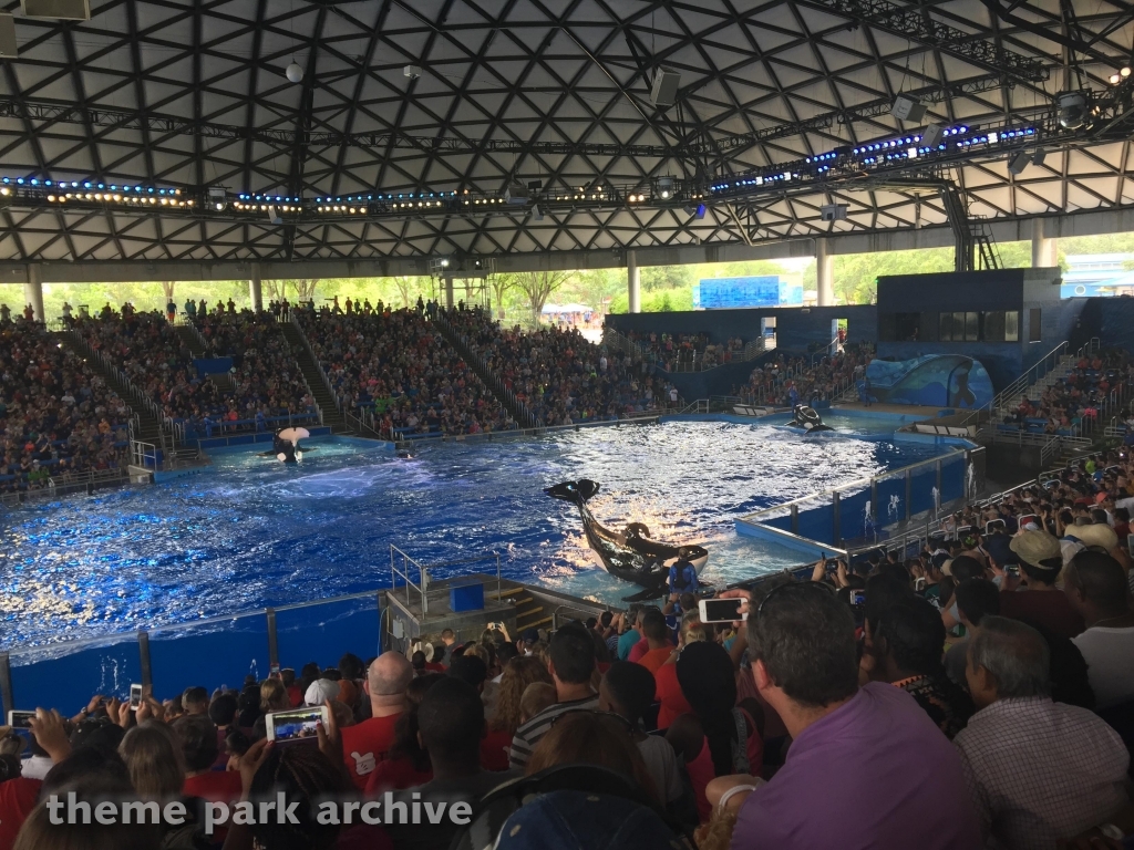 Shamu Theater at SeaWorld San Antonio