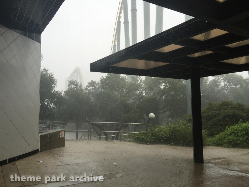 Steel Eel at SeaWorld San Antonio