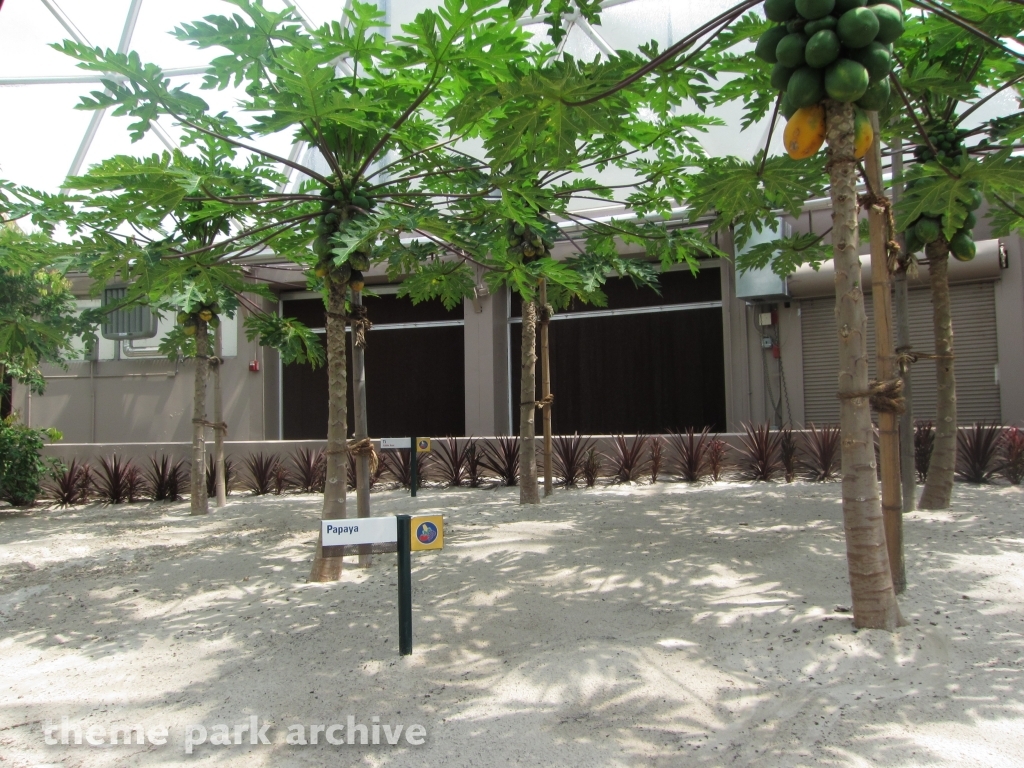 Living with the Land at EPCOT