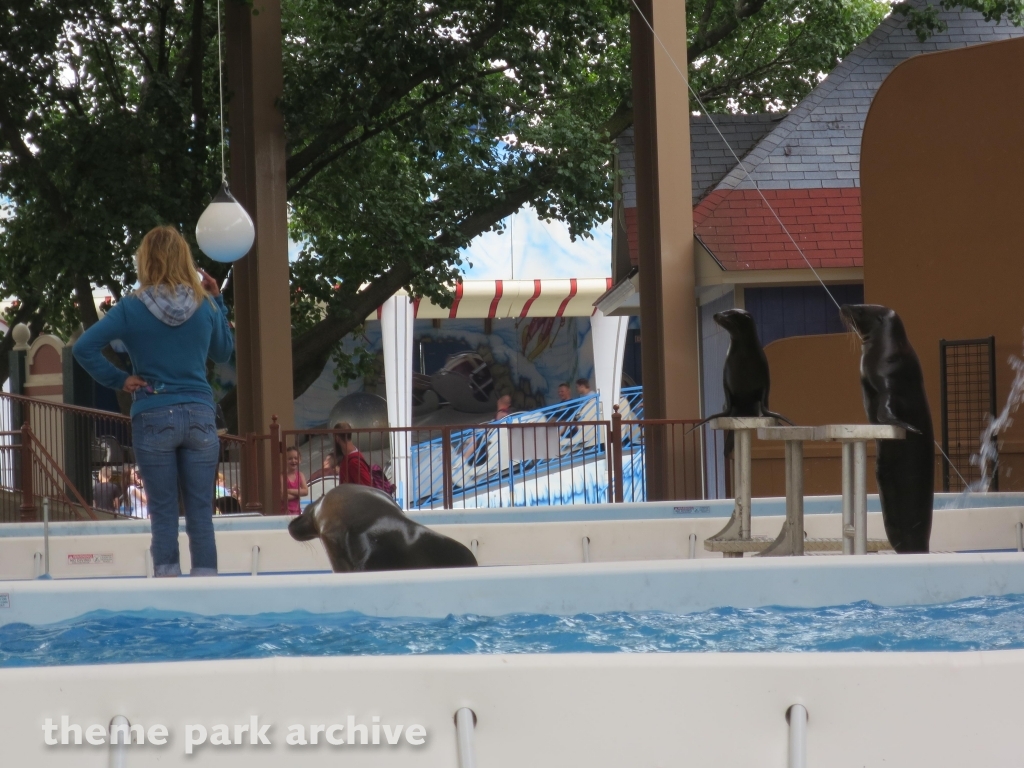 AQUA Theater at Kentucky Kingdom