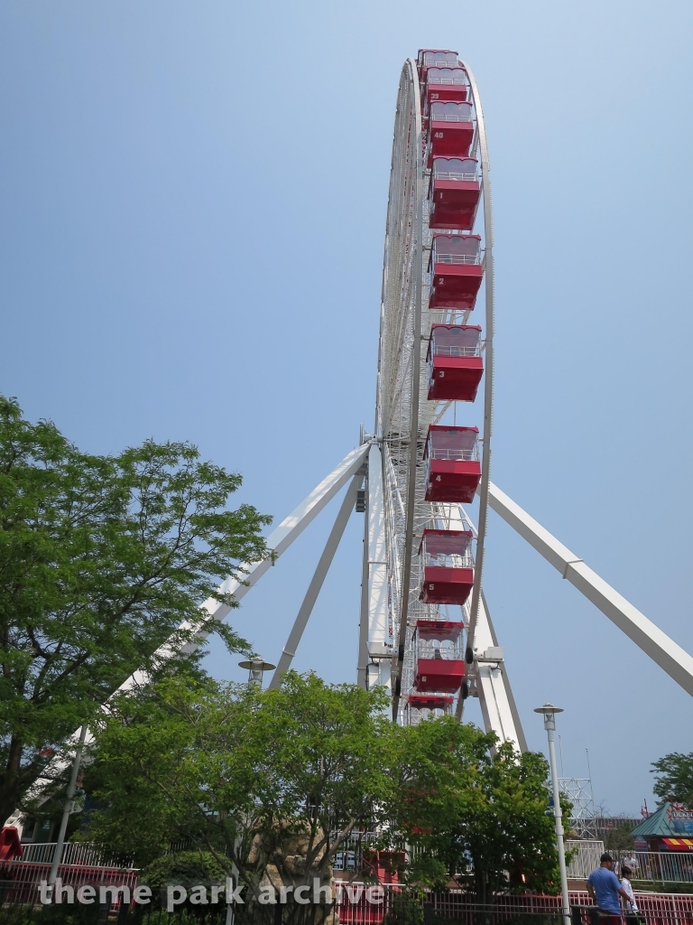 Ferris Wheel at Navy Pier