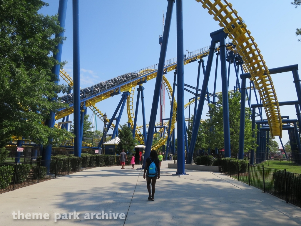 Nighthawk at Carowinds