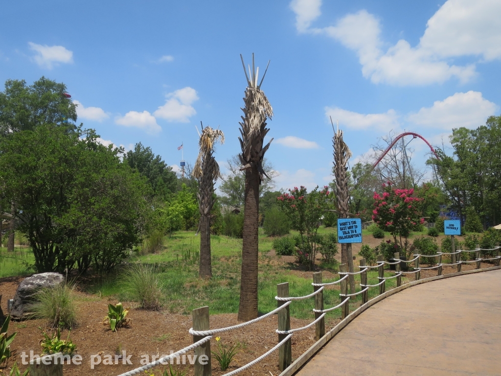 Dinosaurs Alive at Carowinds