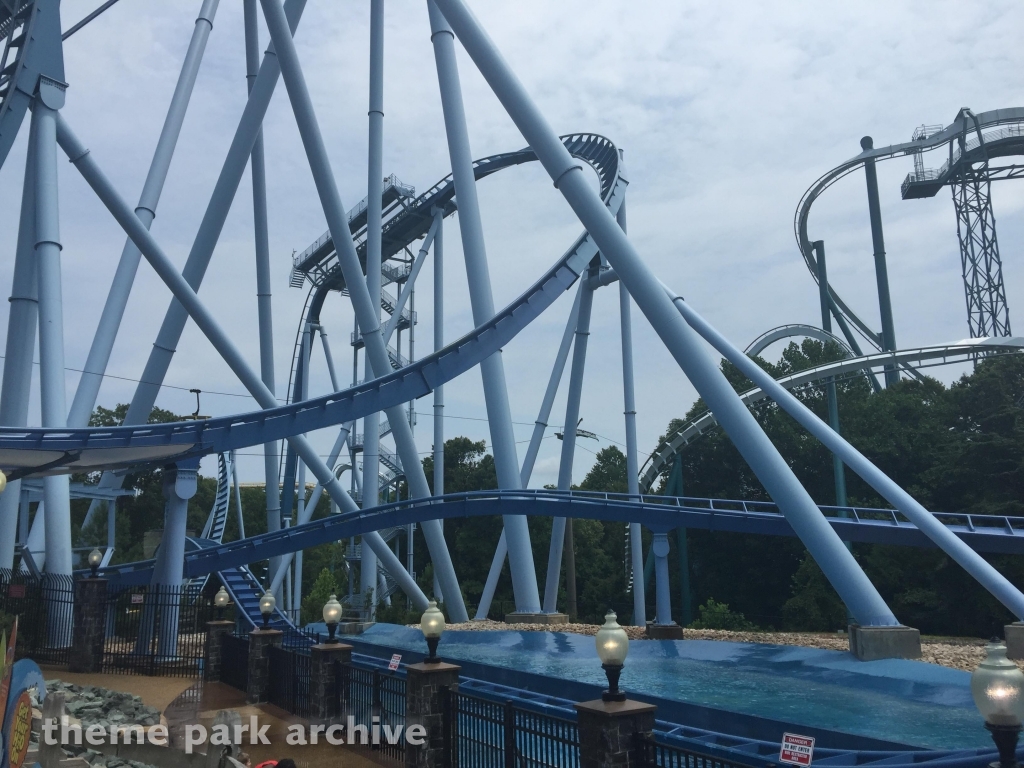 Griffon at Busch Gardens Williamsburg
