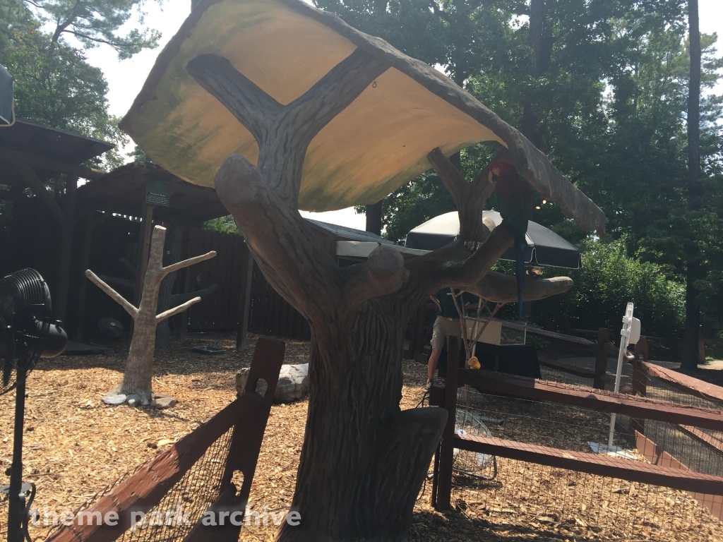 40th Anniversary at Busch Gardens Williamsburg