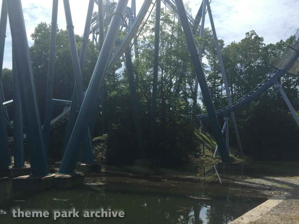Griffon at Busch Gardens Williamsburg