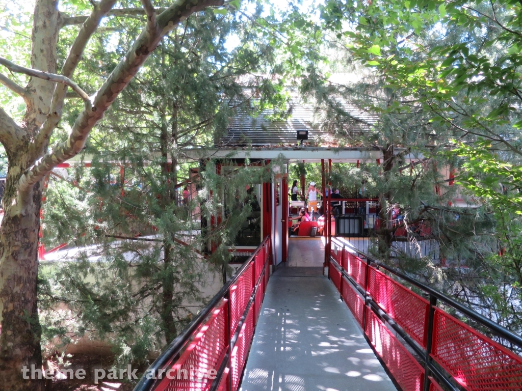 Roller Coaster at Lagoon
