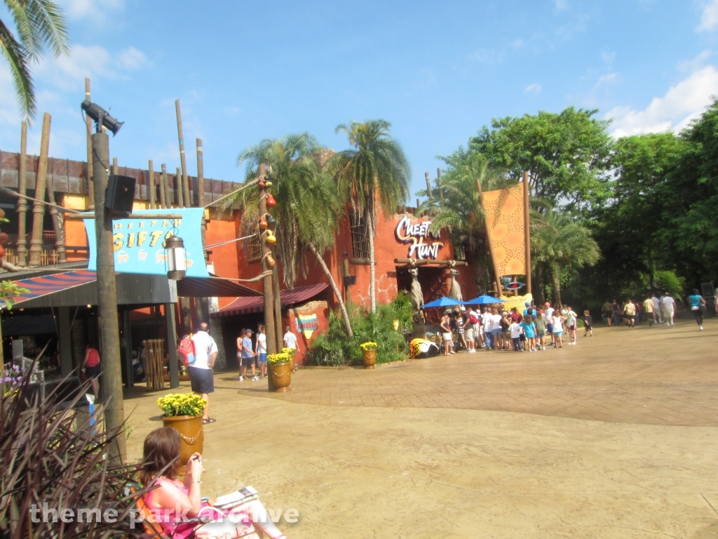 Cheetah Hunt at Busch Gardens Tampa