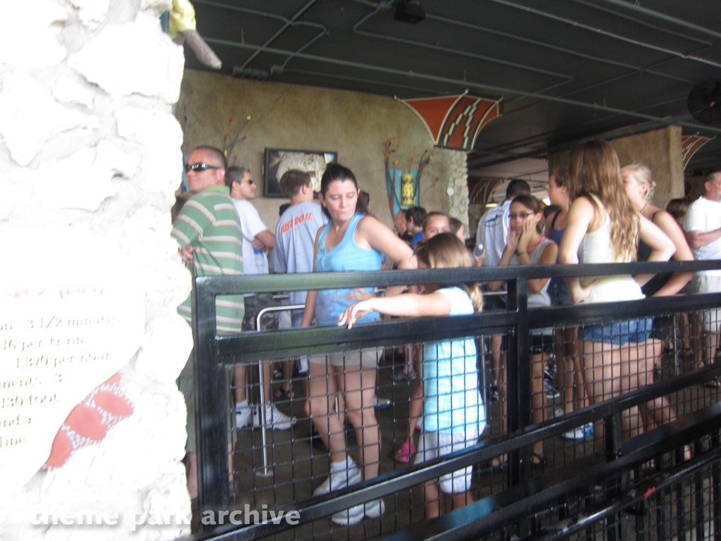 Cheetah Hunt at Busch Gardens Tampa