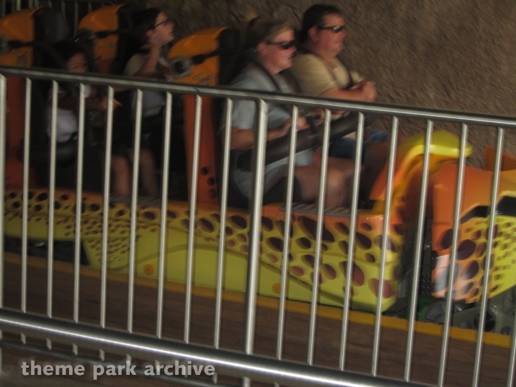 Cheetah Hunt at Busch Gardens Tampa