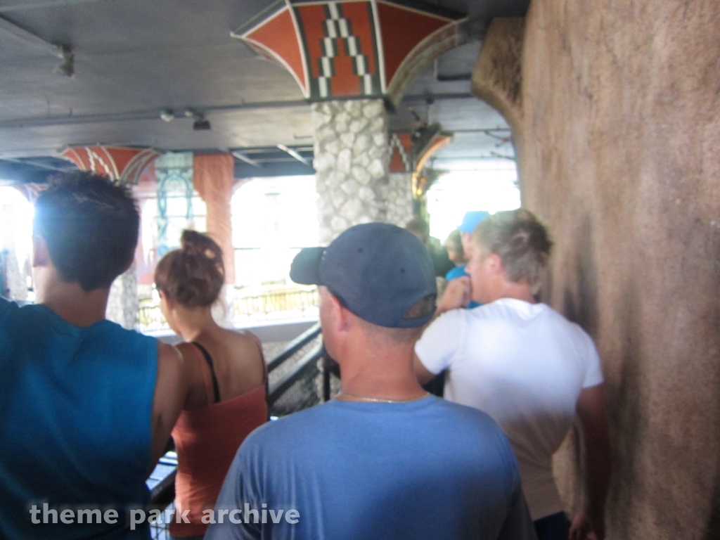 Cheetah Hunt at Busch Gardens Tampa