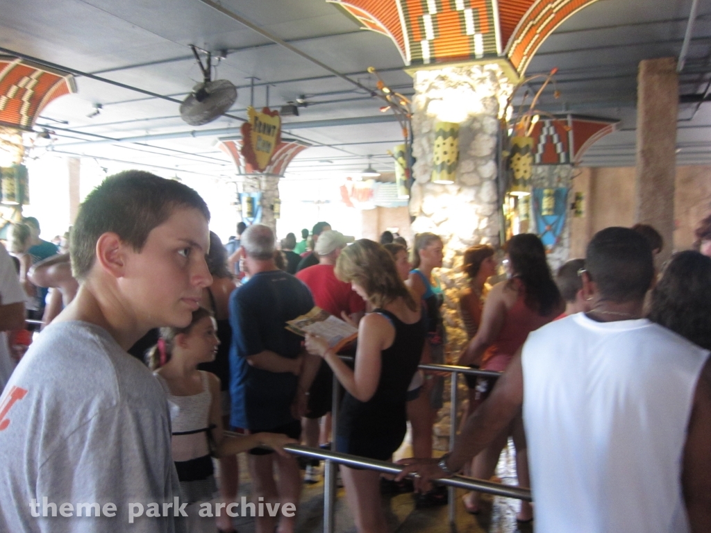 Cheetah Hunt at Busch Gardens Tampa