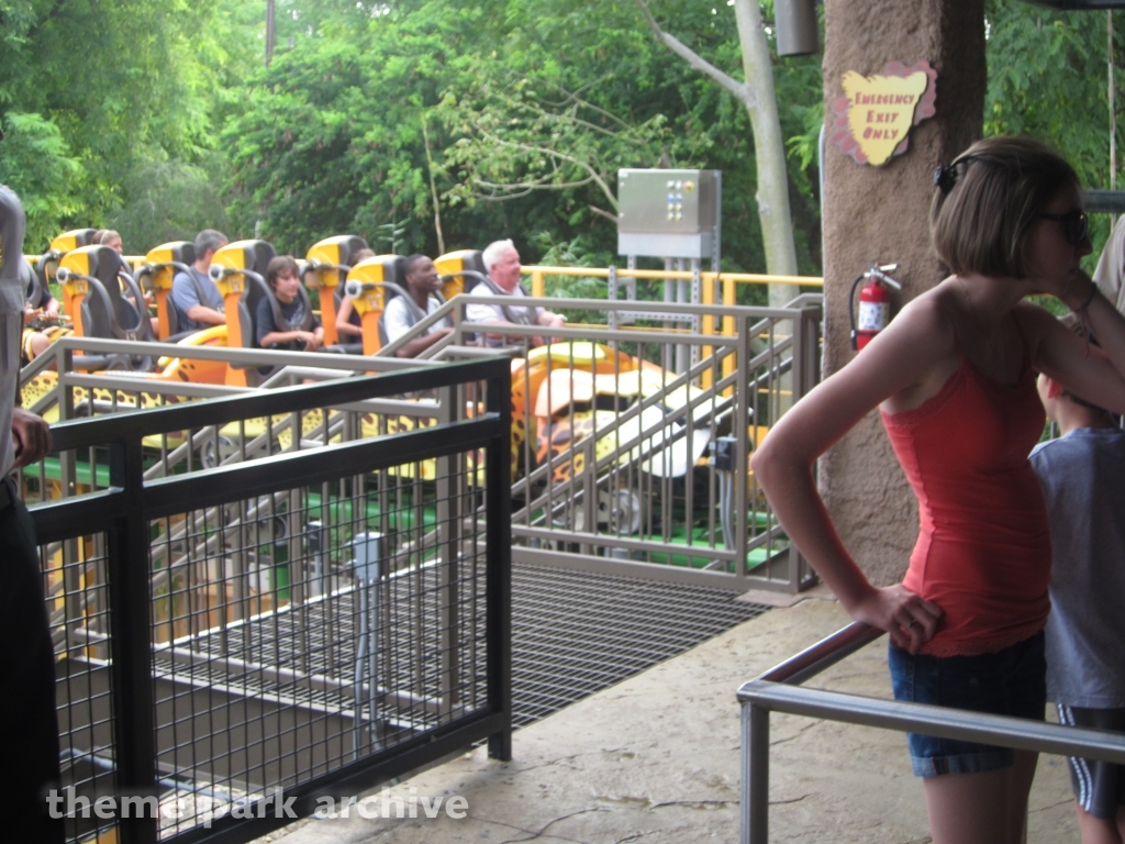 Cheetah Hunt at Busch Gardens Tampa