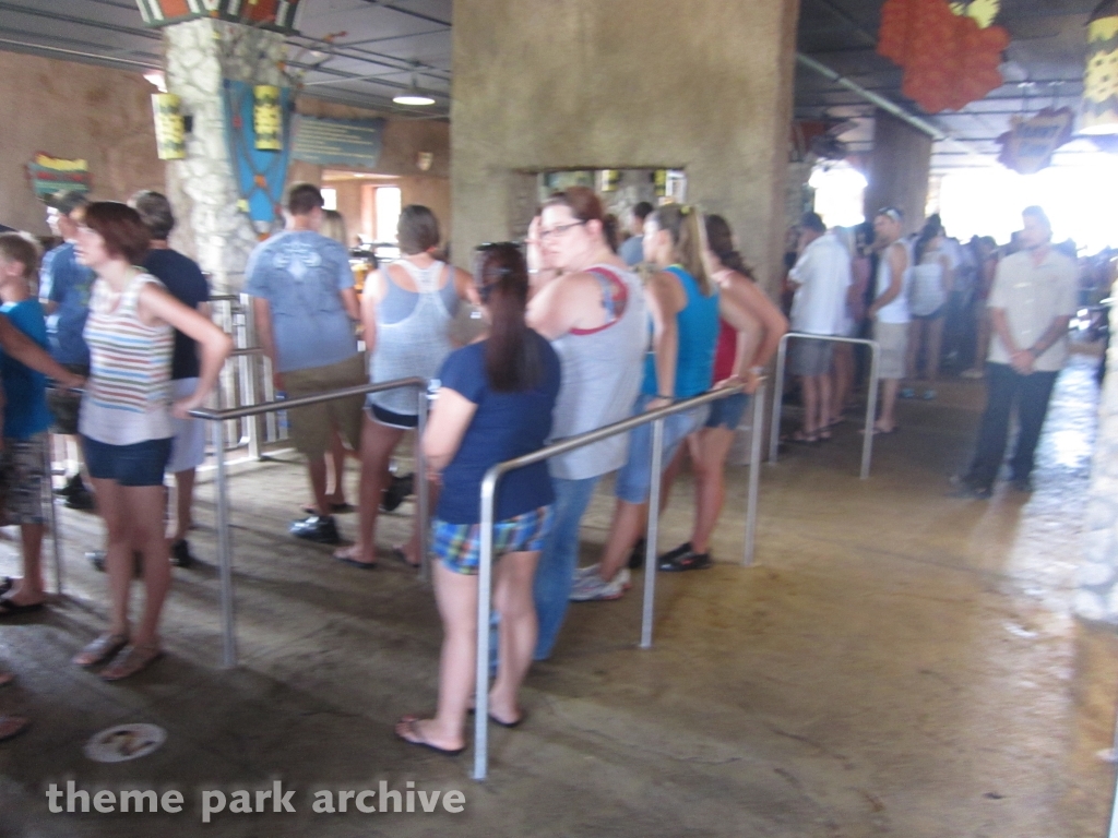 Cheetah Hunt at Busch Gardens Tampa