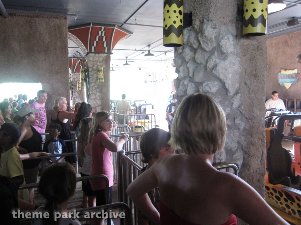 Cheetah Hunt at Busch Gardens Tampa