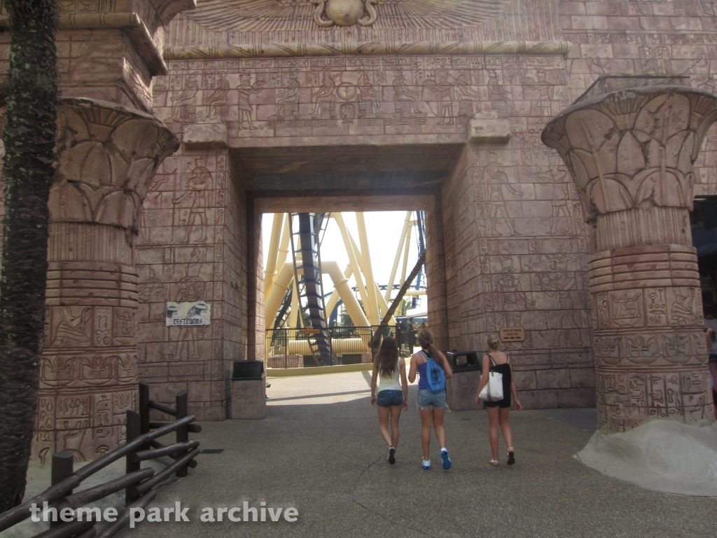 Montu at Busch Gardens Tampa