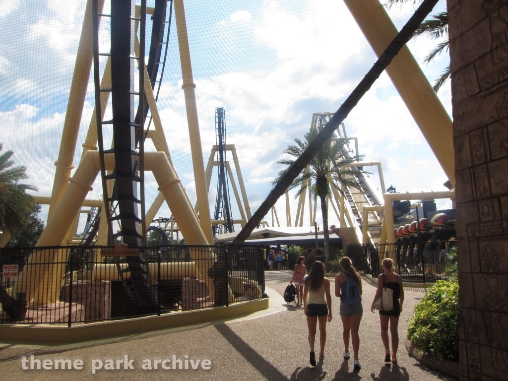Montu at Busch Gardens Tampa