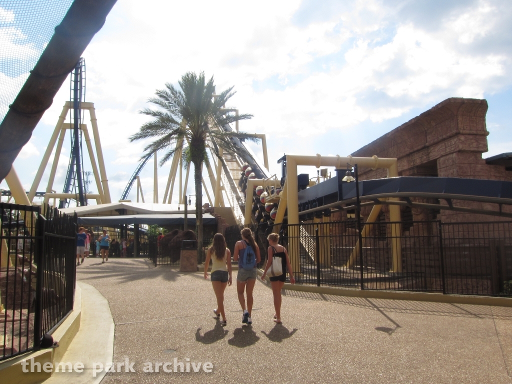 Montu at Busch Gardens Tampa