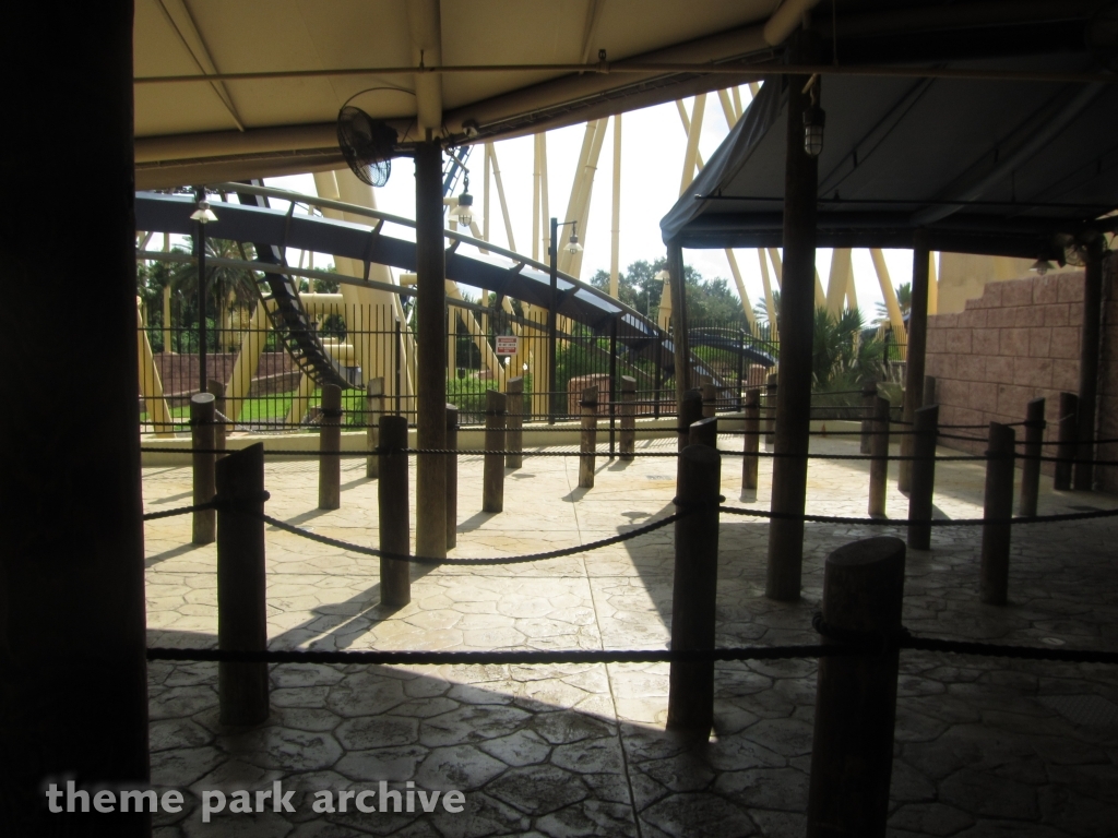 Montu at Busch Gardens Tampa