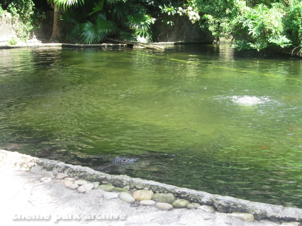 Nairobi at Busch Gardens Tampa