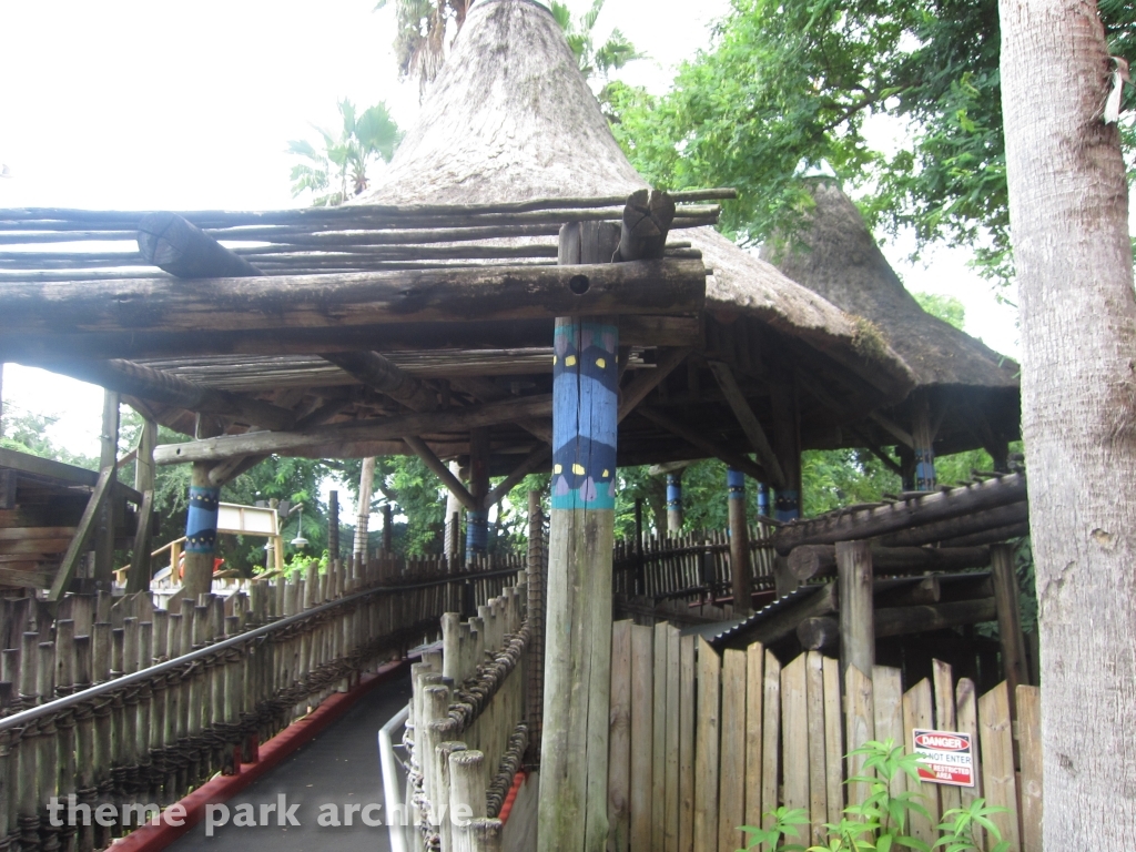 Gwazi at Busch Gardens Tampa