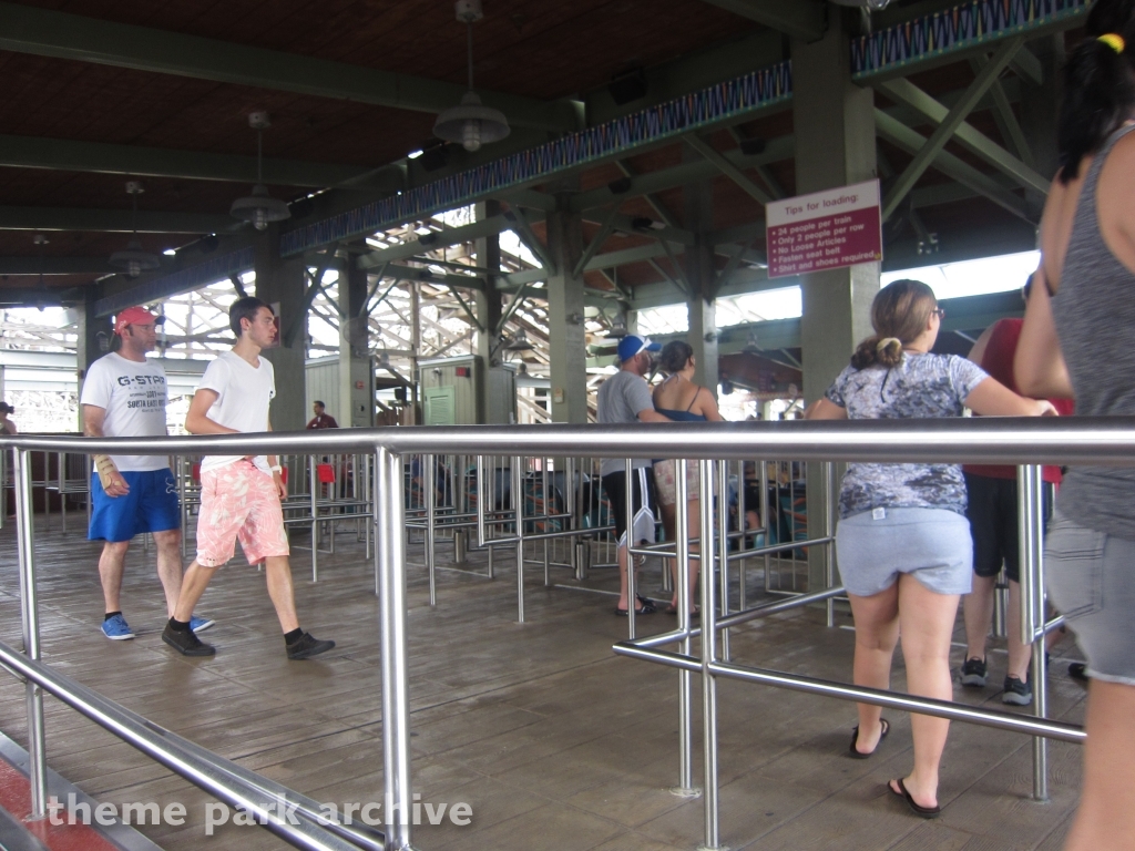 Gwazi at Busch Gardens Tampa