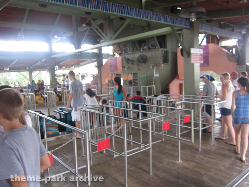 Gwazi at Busch Gardens Tampa