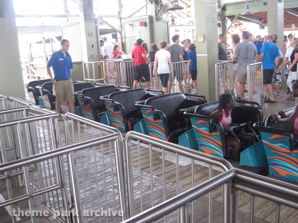 Gwazi at Busch Gardens Tampa
