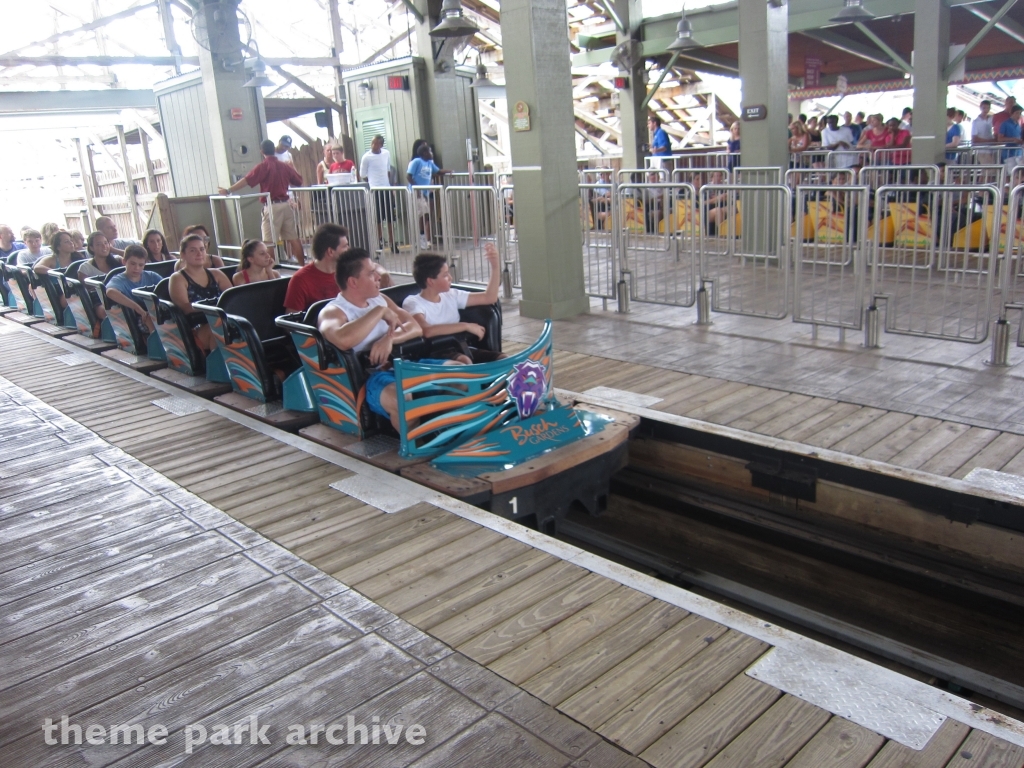 Gwazi at Busch Gardens Tampa