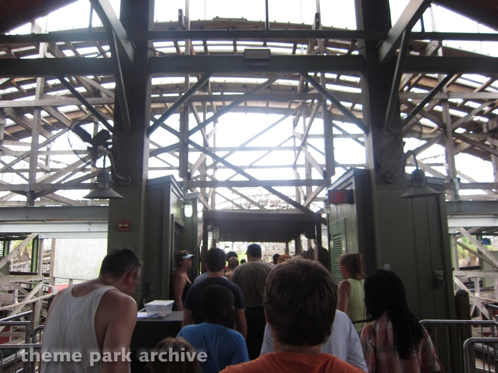 Gwazi at Busch Gardens Tampa