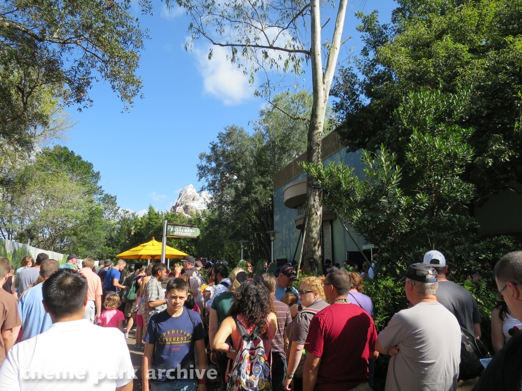 Asia at Disney's Animal Kingdom