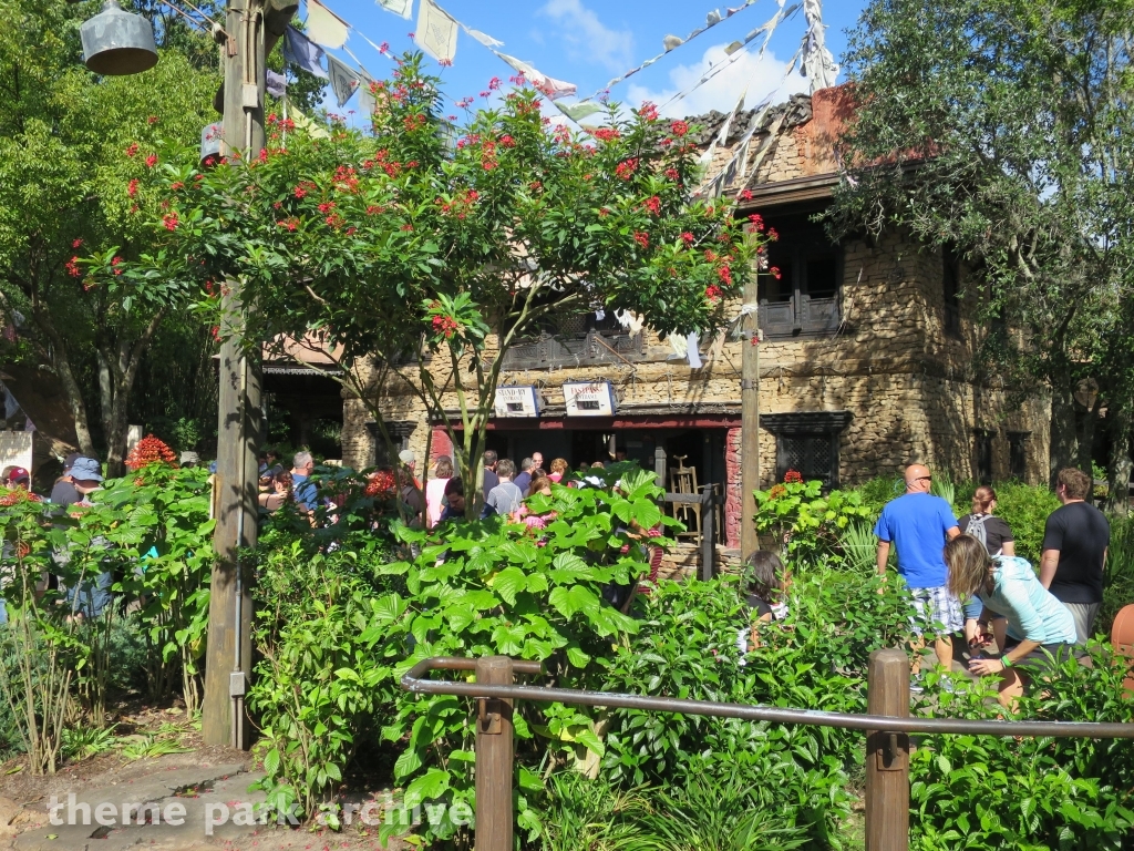 Expedition Everest at Disney's Animal Kingdom