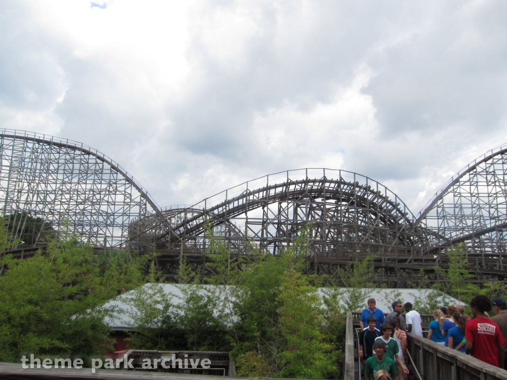 Gwazi at Busch Gardens Tampa