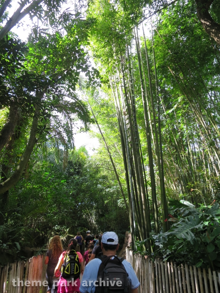 Maharajah Jungle Trek at Disney's Animal Kingdom