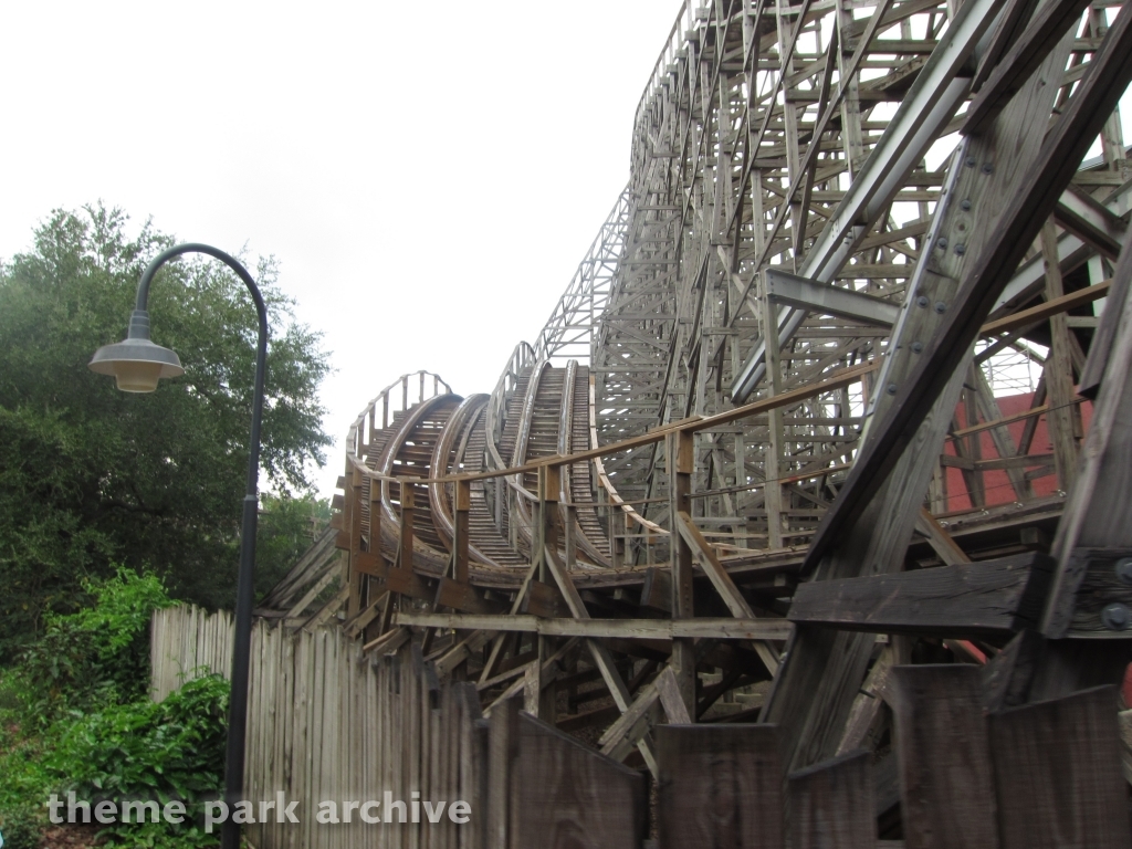 Gwazi at Busch Gardens Tampa