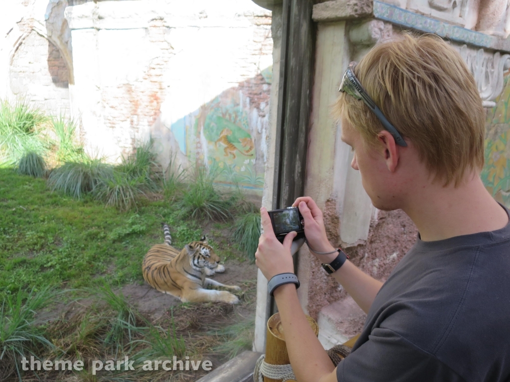 Maharajah Jungle Trek at Disney's Animal Kingdom