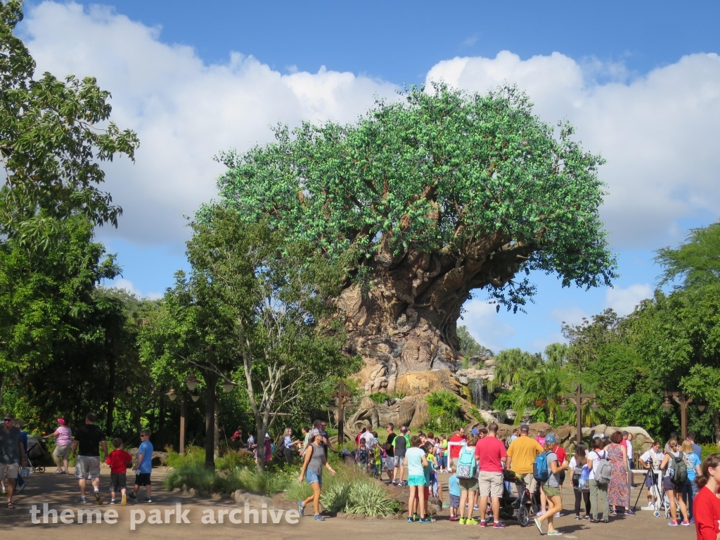 Discovery Island at Disney's Animal Kingdom