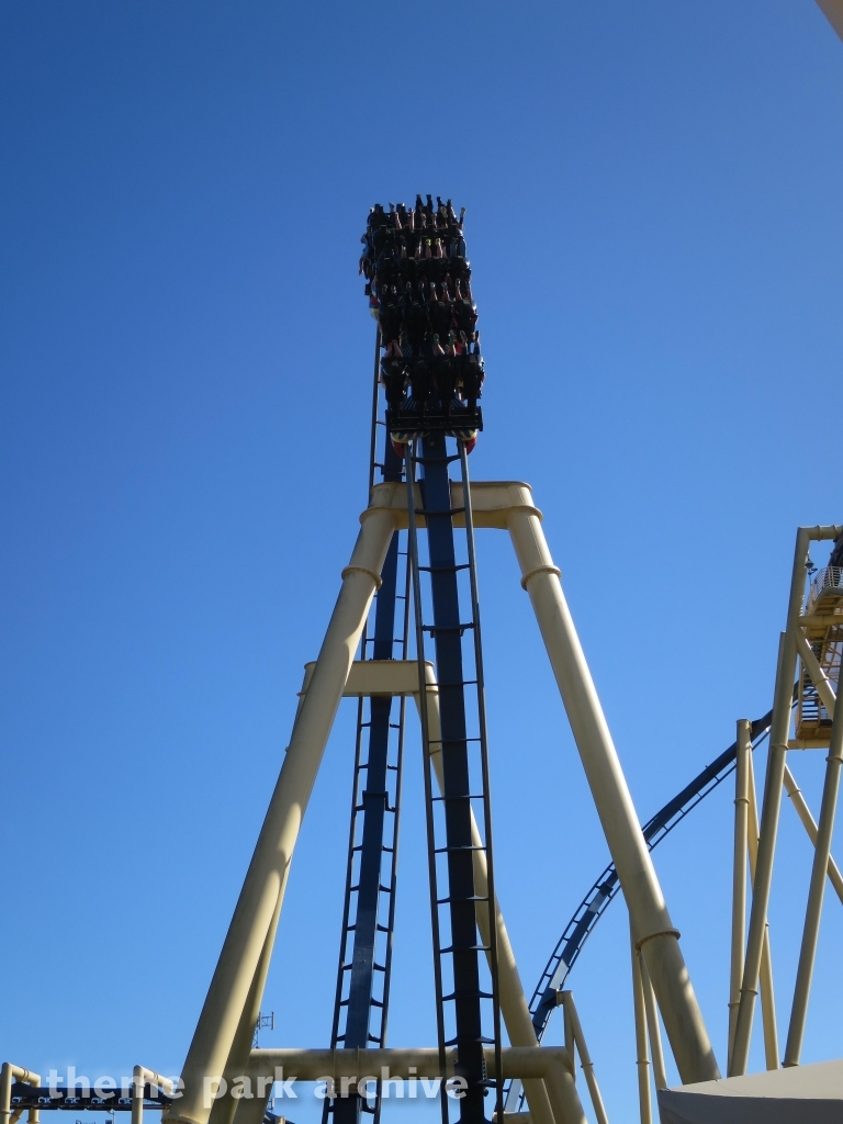 Montu at Busch Gardens Tampa