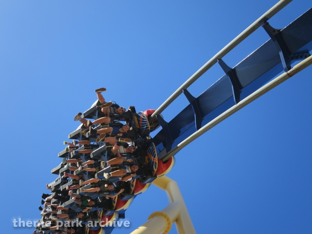 Montu at Busch Gardens Tampa