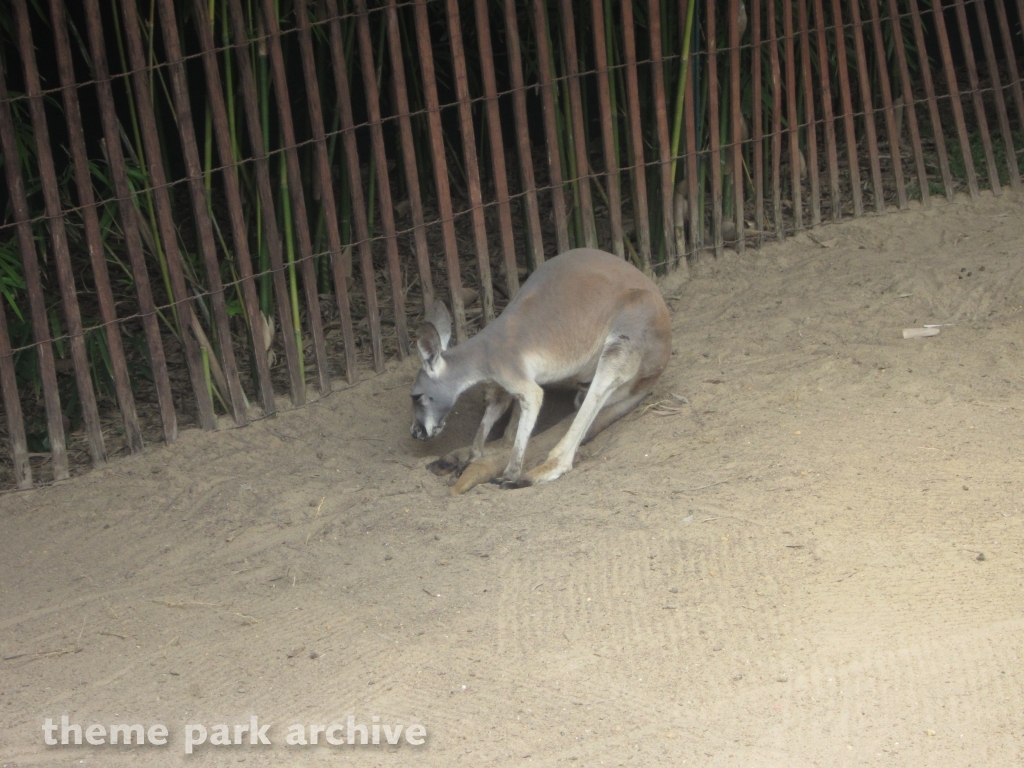 Bird Gardens at Busch Gardens Tampa
