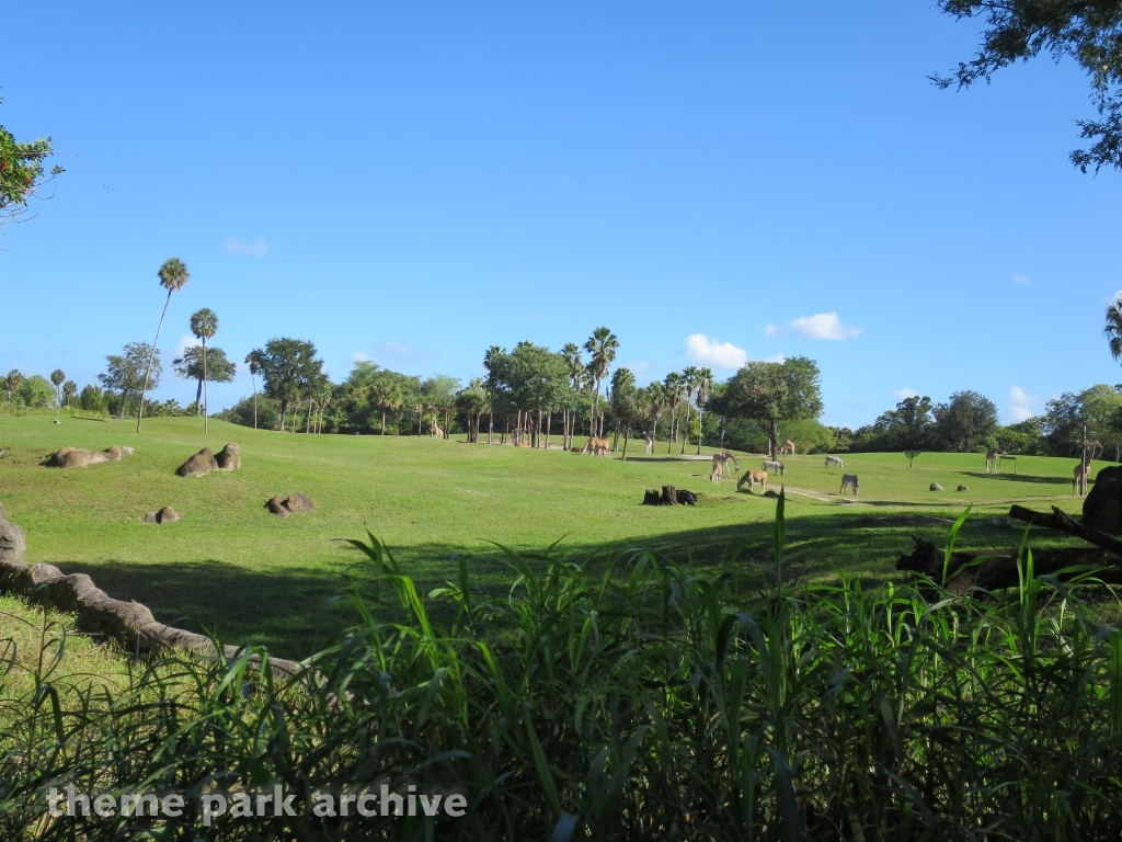 Edge of Africa at Busch Gardens Tampa