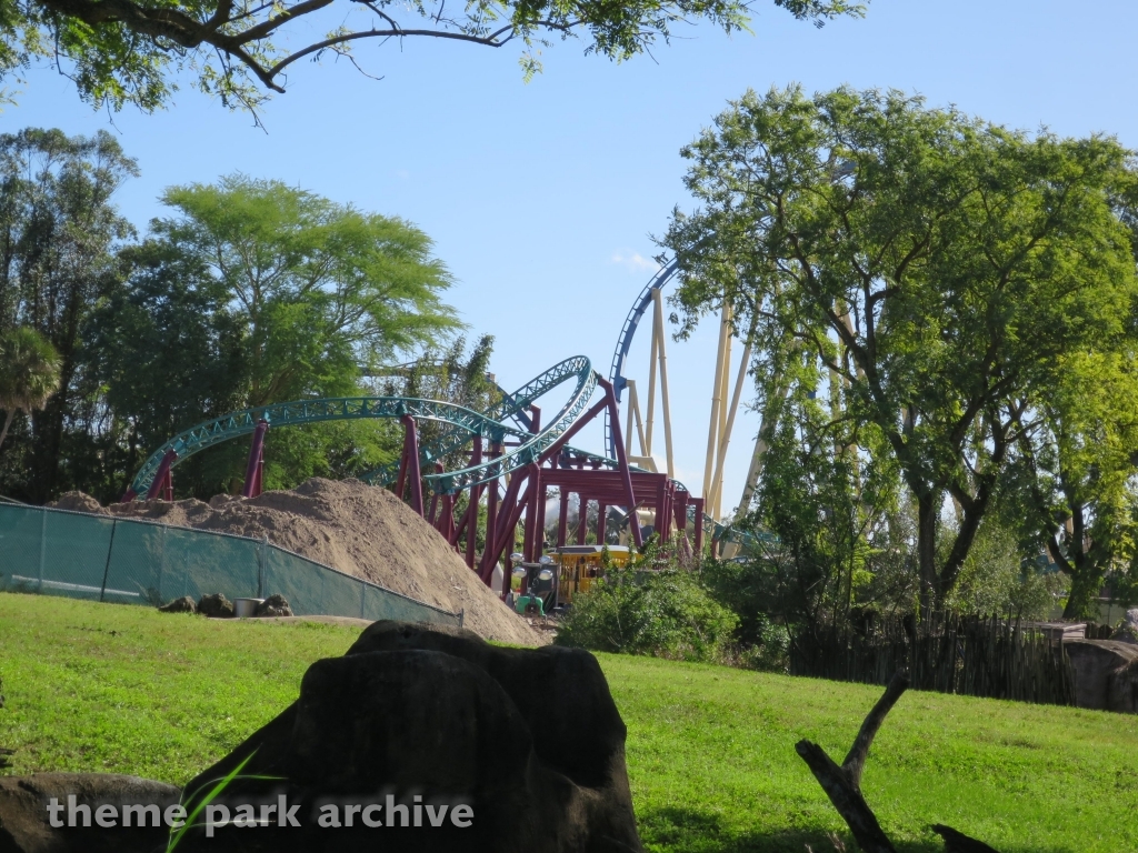 Cobra's Curse at Busch Gardens Tampa