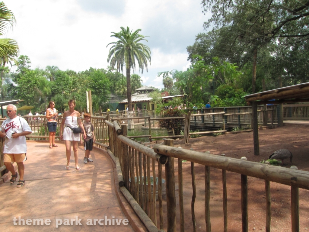 Bird Gardens at Busch Gardens Tampa