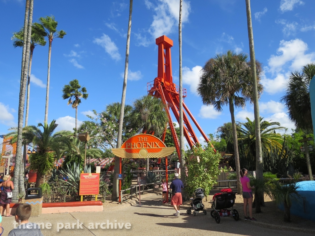 Phoenix at Busch Gardens Tampa