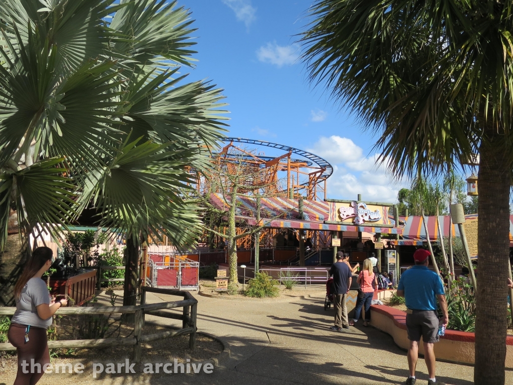 SandSerpent at Busch Gardens Tampa