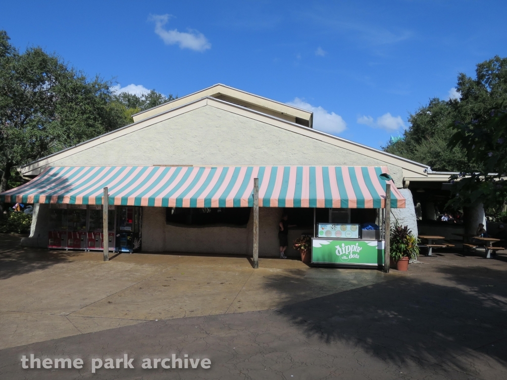 Congo at Busch Gardens Tampa
