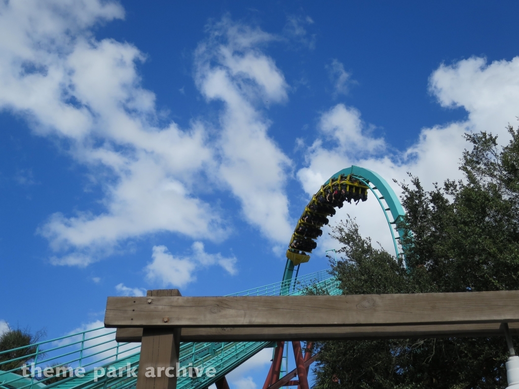 Kumba at Busch Gardens Tampa
