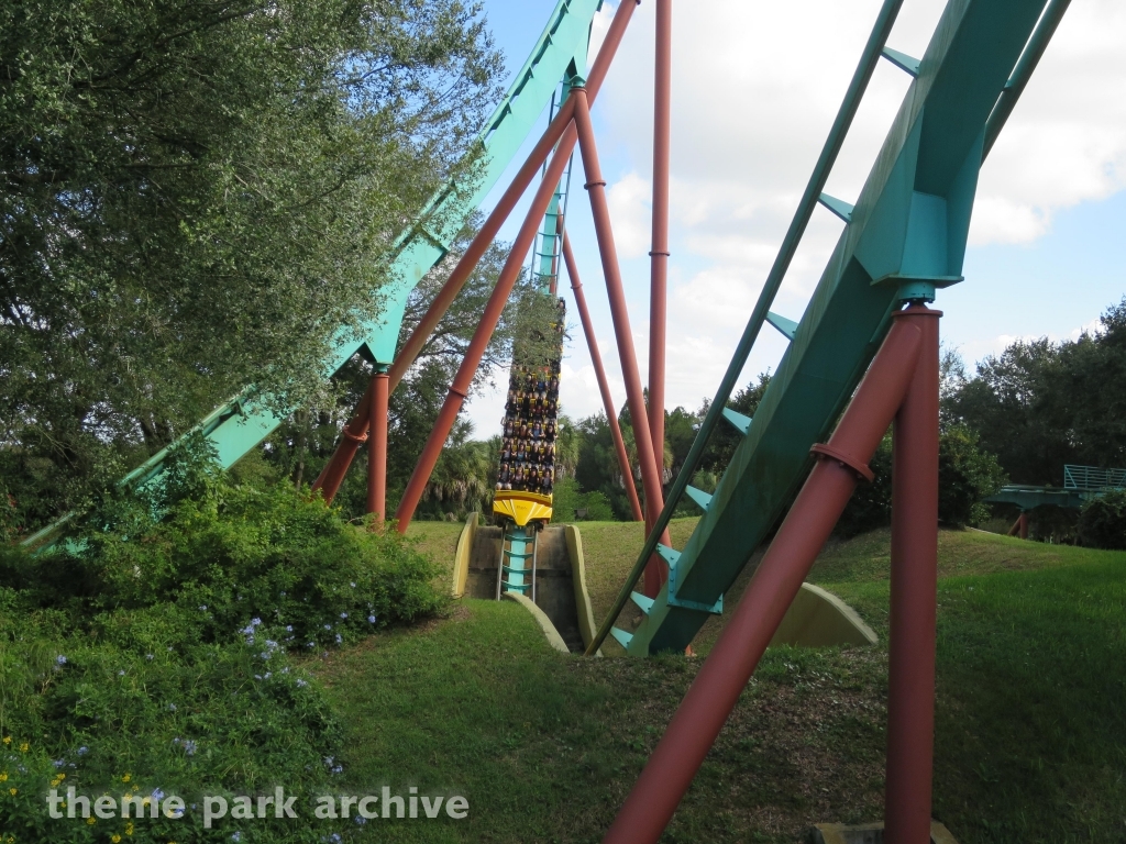 Kumba at Busch Gardens Tampa